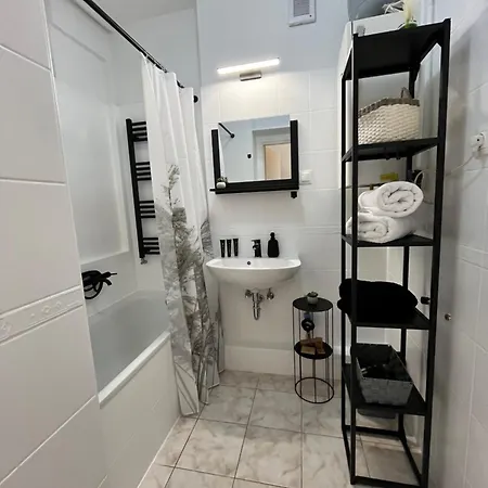 Black Balaton Apartment *